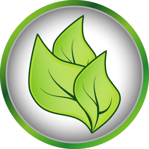 ciodsa.com